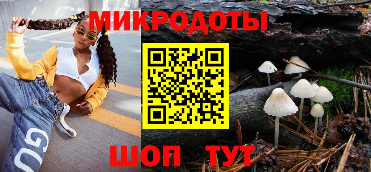 Галлюциногенные грибы Psilocybe Кинель