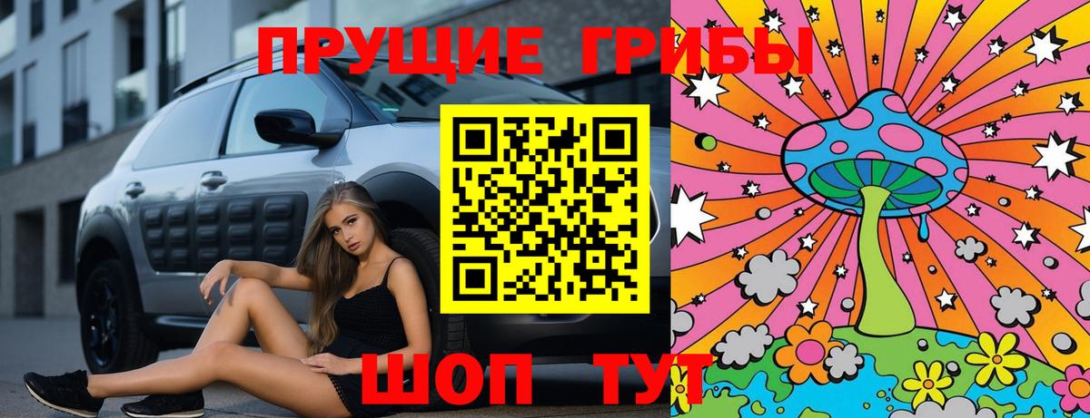 Галлюциногенные грибы Psilocybine cubensis  Вход с VPN  Псилоцибиновые грибы MAGIC MUSHROOMS  Кинель 